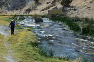 Stella explores the shore of the creek.