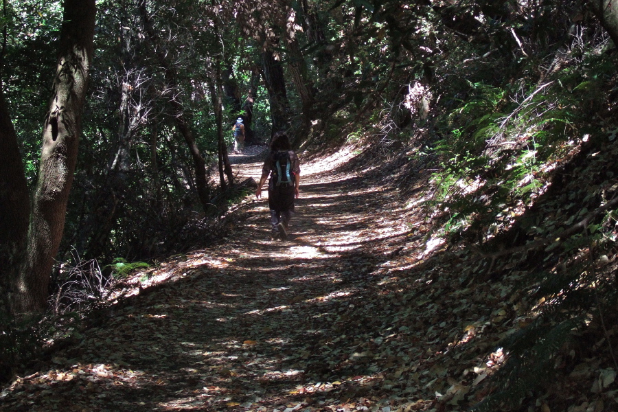 Stella and Frank descend Alambique Trail.