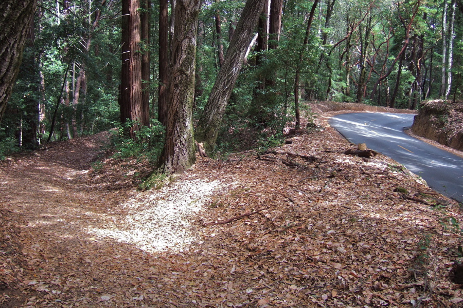 Archery Fire Road runs near Kings Mountain Road.