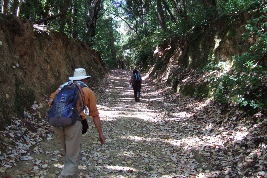 Frank and Stella climb the steepest part of Archery Fire Road.