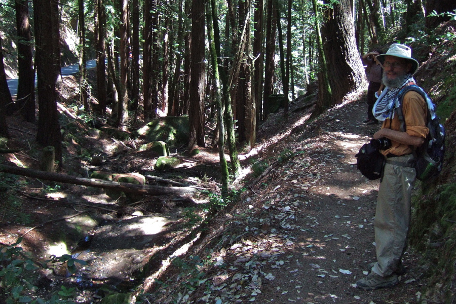 On the Skyline Trail looking down into Squealer Gulch