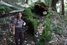 Stella before a fallen, burned out tree