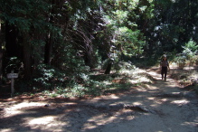 Stella's hurting feet pass by Redwood Flat.