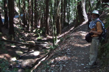 On the Skyline Trail looking down into Squealer Gulch