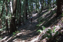 Frank enjoys the solitude of the Skyline Trail.