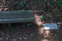 At the Clara May Lazarus bench on the Skyline Trail