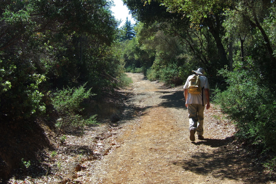 On the lower half of Richards Road