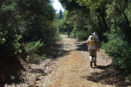 On the lower half of Richards Road