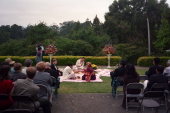 The Krishna ceremony (1)