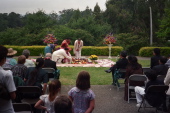 The Krishna ceremony (3)