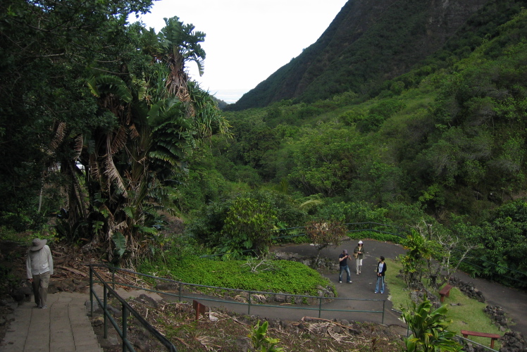 Looking down 'Iao Valley toward Wailuku.