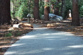 The first and last 0.7 miles of our hike is on a paved road.