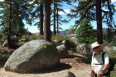 The view begins to open up on the trail to North Dome.