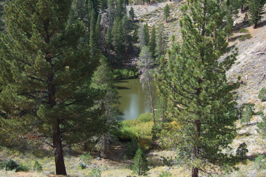 Pool at bottom of second crater