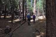 Frank and Stella hike up the short trail to the craters.