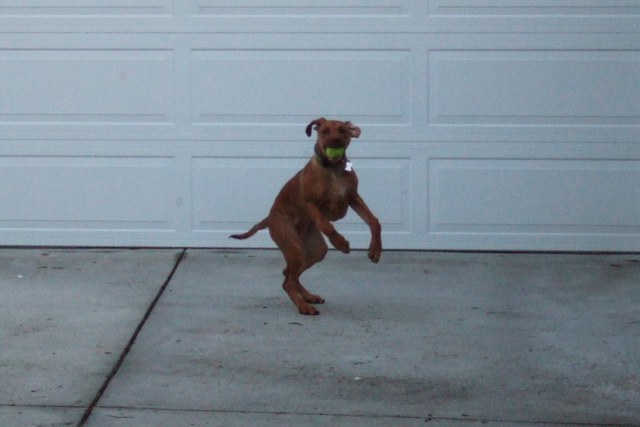 Jack catches the ball.