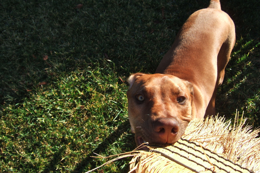 Jack holds fast to the broom.