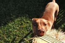 Jack holds fast to the broom.