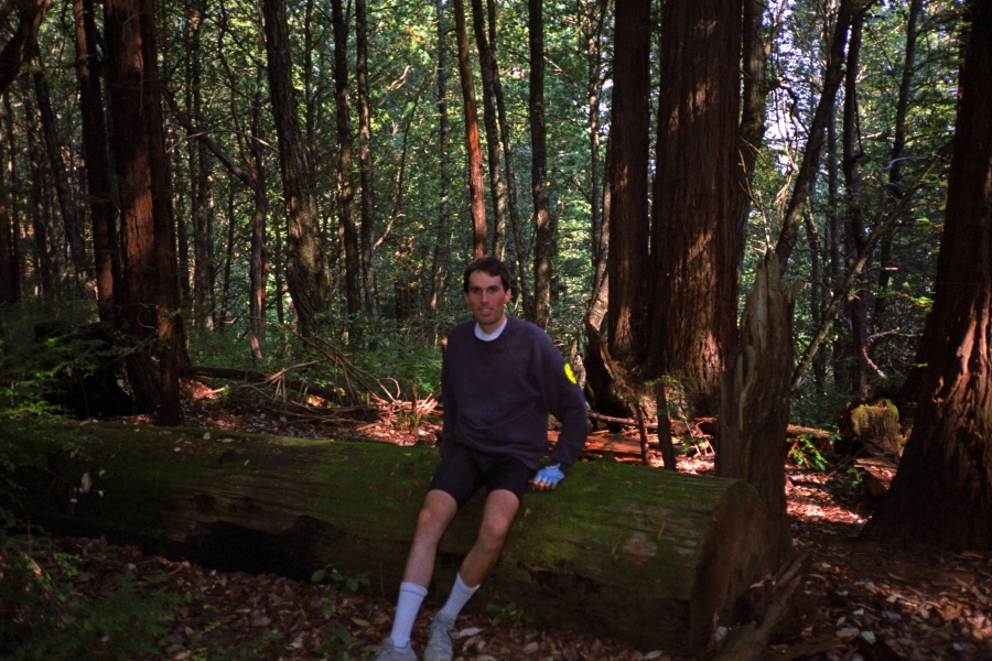 Bill on log in Big Basin State Park along CA236.