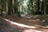 Descending Johansen Road 3 (1800ft)