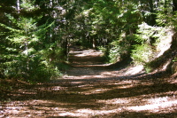 Descending Johansen Rd. 4 (1670ft)