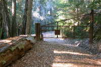 Lower Johansen Gate @ Sandy Point Junction (1359ft)