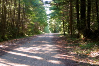 Gazos Creek Rd. near the lower gate (360ft)