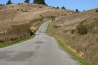 Cloverdale Rd. before the bump over to Little Butano Creek (240ft)