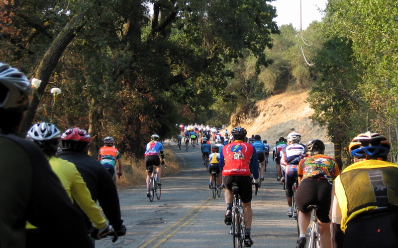 Riding up Old Page Mill Rd.