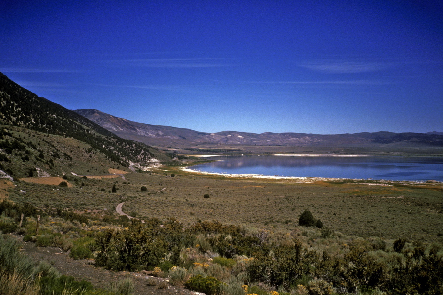 View north from Lee Vining