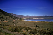 View north from Lee Vining