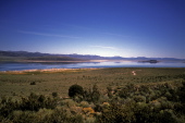 Tufa towers at Mono Lake visible from US395