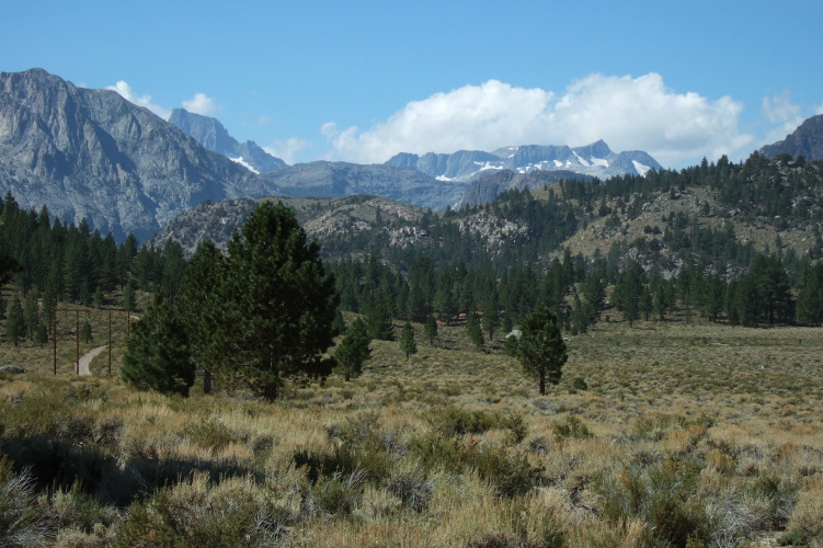 Banner Peak and Mt. Davis from June Lake Loop.
