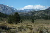 Banner Peak and Mt. Davis from June Lake Loop.