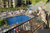 Hawaiian Dancing from our balcony.