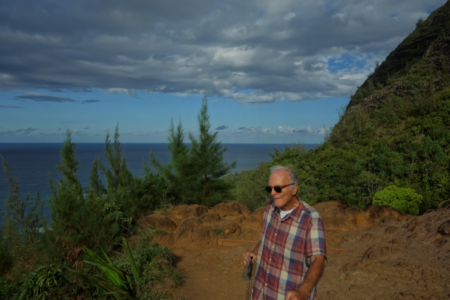 David enjoys the view from the second viewpoint.