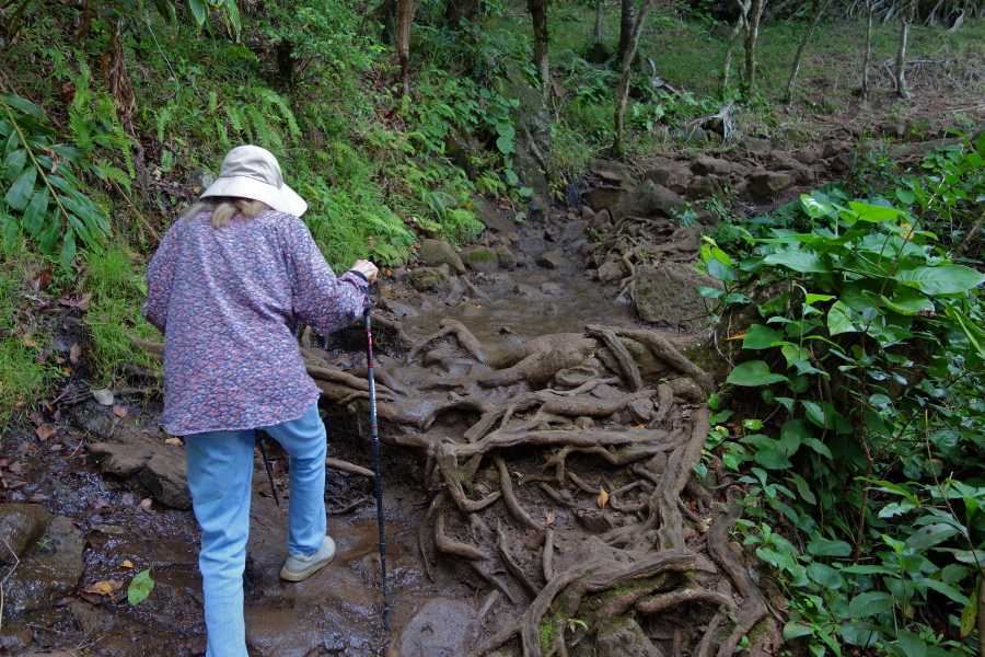 The trail is sometimes muddy and slick.