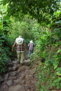 Down the rocky bit of trail