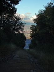 Descending Kennedy Trail