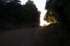 The trail goes directly into the sun.