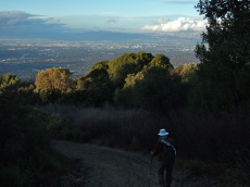 View from the steep descent on Kennedy Trail