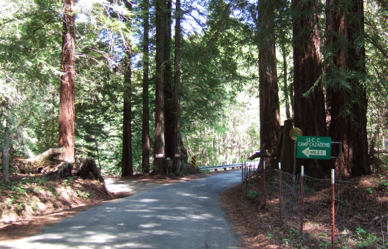 Road to Camp Cazadero up Bearpen Creek.