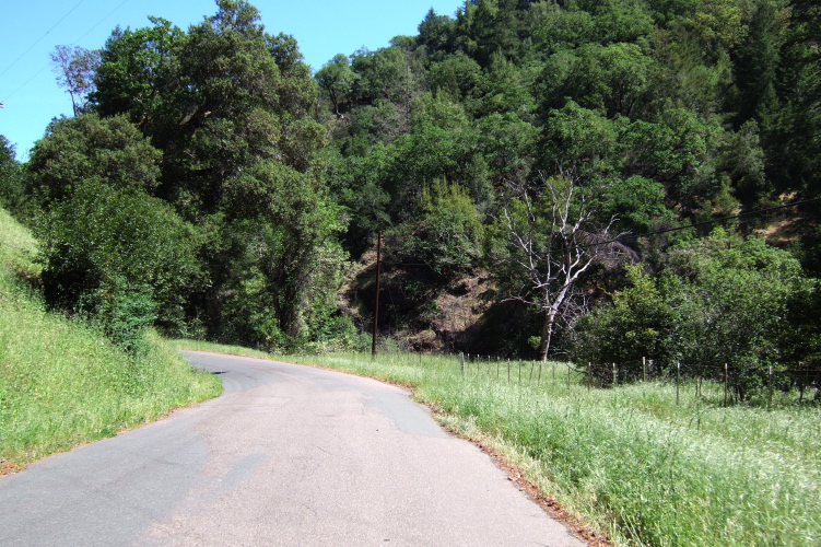 The grass is still green.