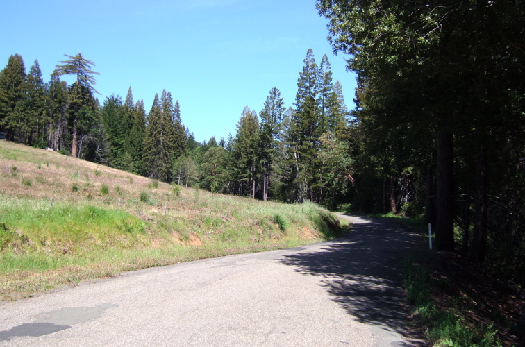King Ridge Rd. continues up into the trees.
