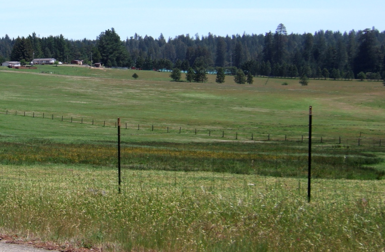 Fields of Annapolis, CA.