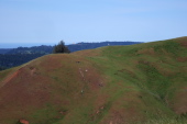 Enormous stupas and temples at Odiyan Buddhist retreat.