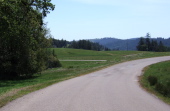 Looking back down Tin Barn Rd. as it winds through a meadow.