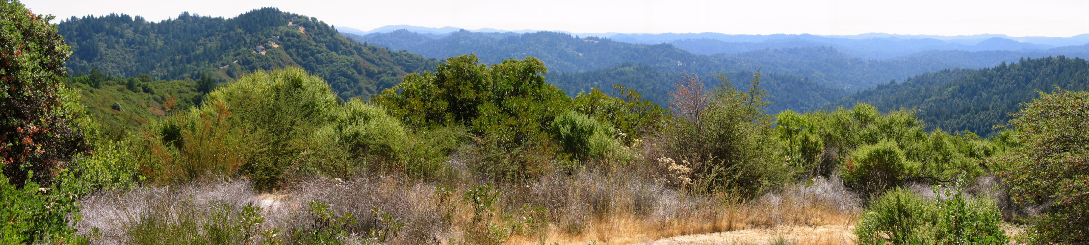 Bielawski Ridge Panorama 2 (2540ft)
