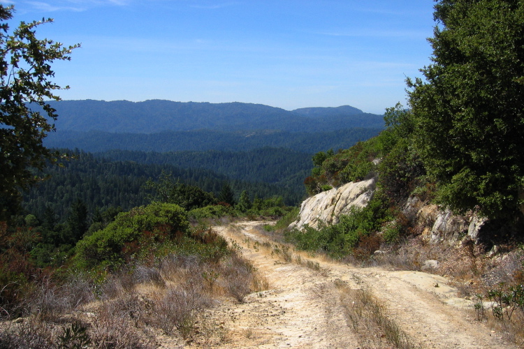 Ben Lomond Mountain and Pine Mountain from Kings Creek Truck Rd. (2360ft)