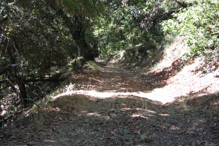 Descending further on Kings Creek Truck Rd. (2000ft)